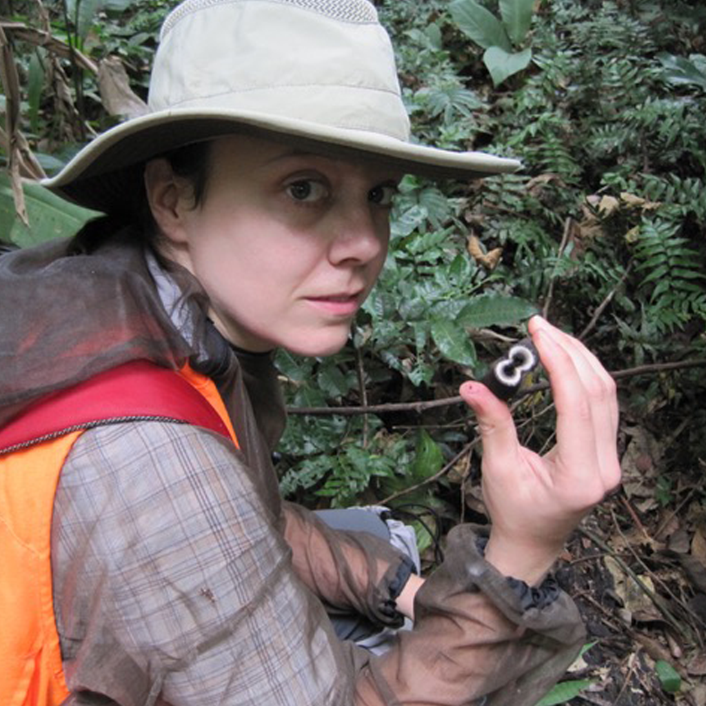 A picture of Dr Seri Robinson. She is crouched down in a forest setting, holding a small fungus up to the camera. She is a white woman with dark hair, and is wearing a beige hat, orange safety vest, and net jacket. 